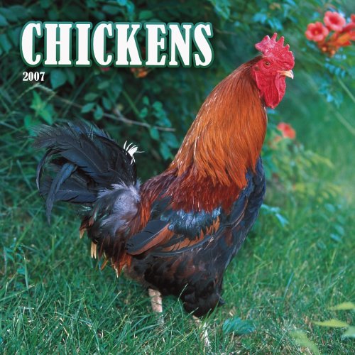 Chickens 2007 Calendar (9781421604459) by Browntrout Publishers