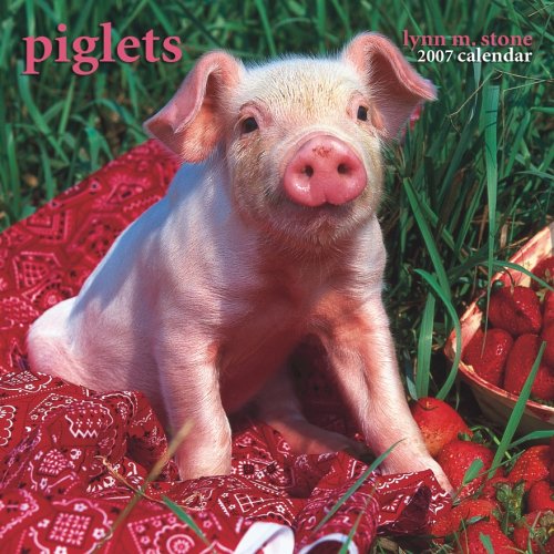 Piglets 2007 Mini Calendar (9781421604633) by Lynn M. Stone