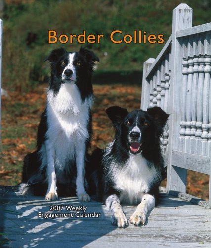 Border Collies 2007 Weekly Calendar (9781421606187) by Browntrout Publishers