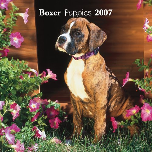 Boxer Puppies 2007 Mini Calendar (9781421606415) by Browntrout Publishers