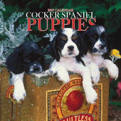 Cocker Spaniel Puppies 2007 Mini Calendar (9781421606743) by NOT A BOOK