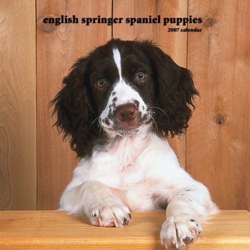 English Springer Spaniel Puppies 2007 Mini Calendar (9781421606989) by NOT A BOOK