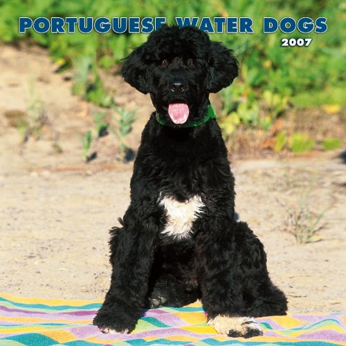 Portuguese Water Dogs 2007 Calendar (9781421607900) by NOT A BOOK