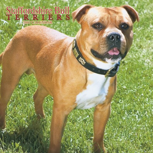 Staffordshire Bull Terriers 2007 Calendar (9781421608495) by NOT A BOOK
