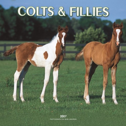 9781421608983: Colts & Fillies 2007 Calendar