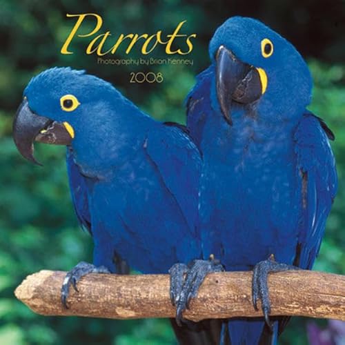 Parrots 2008 Square Wall Calendar (German, French, Spanish and English Edition) (9781421621128) by BrownTrout Publishers