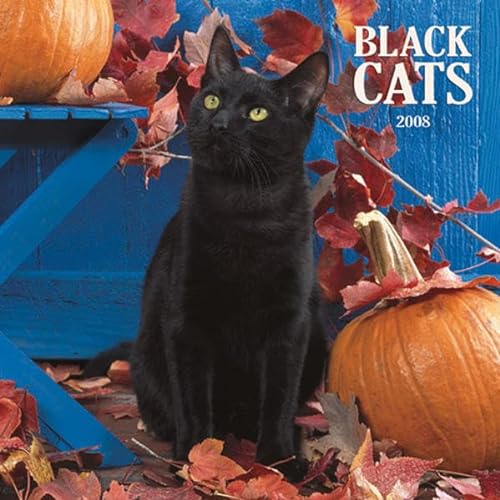 Black Cats 2008 Square Wall Calendar (9781421621616) by BrownTrout Publishers