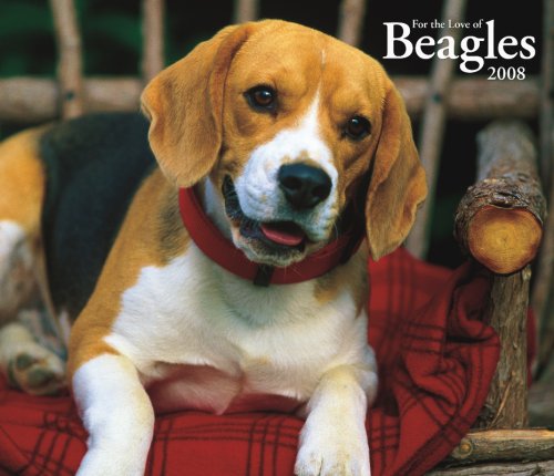 Beagles, For the Love of 2008 Deluxe Wall Calendar (9781421622057) by [???]