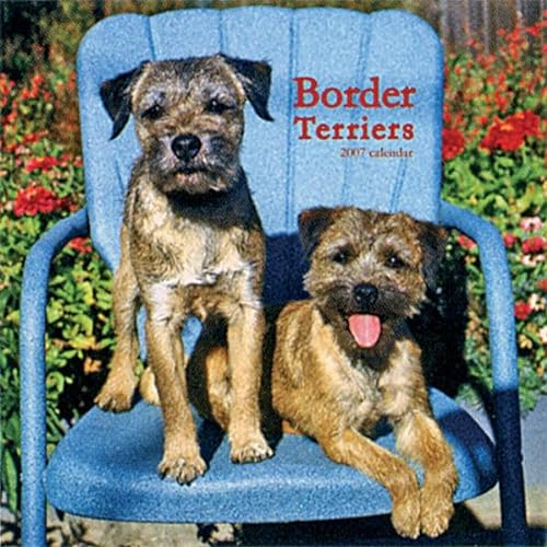 Border Terriers 2008 Square Wall Calendar (German, French, Spanish and English Edition) (9781421622293) by BrownTrout Publishers