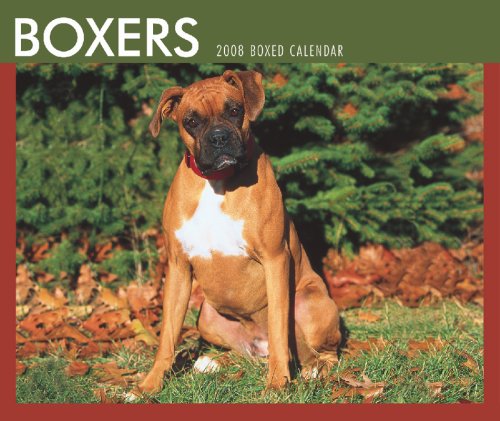 Boxers 2008 Boxed Calendar (German, French, Spanish and English Edition) (9781421622453) by BrownTrout Publishers