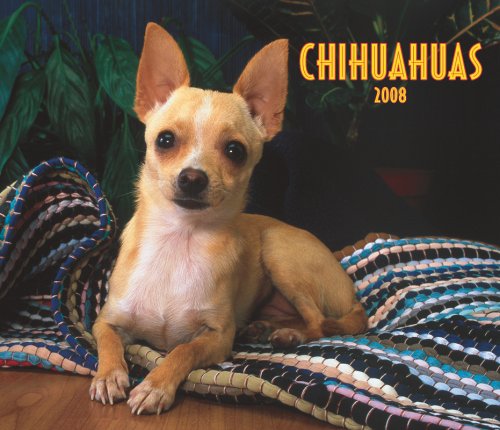 Chihuahuas, For the Love of 2008 Deluxe Wall Calendar (9781421622705) by Unknown Author