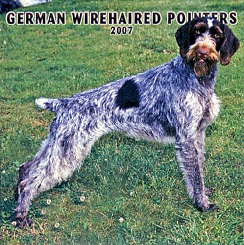 9781421623221: German Wirehaired Pointers 2008 Square Wall Calendar (German, French, Spanish and English Edition)