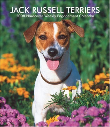 Jack Russell Terriers 2008 Hardcover Weekly Engagement Calendar (German, French, Spanish and English Edition) (9781421623474) by BrownTrout Publishers