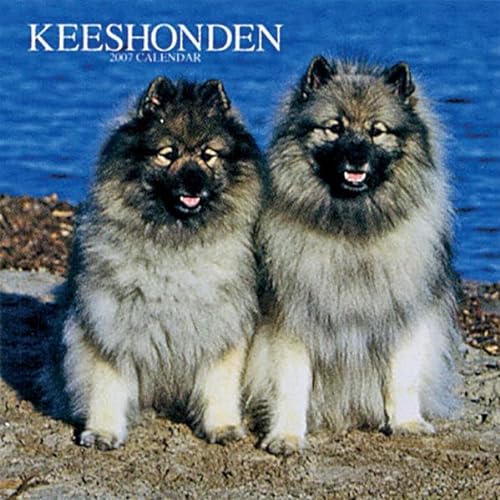 Keeshonden 2008 Square Wall Calendar (German, French, Spanish and English Edition) (9781421623504) by BrownTrout Publishers