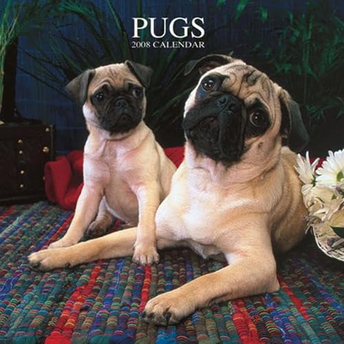 Pugs 2008 Square Wall Calendar (German, French, Spanish and English Edition) (9781421624068) by BrownTrout Publishers