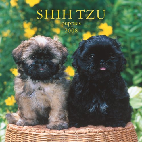 Shih Tzu Puppies 2008 Mini Wall Calendar (German, French, Spanish and English Edition) (9781421624532) by BrownTrout Publishers