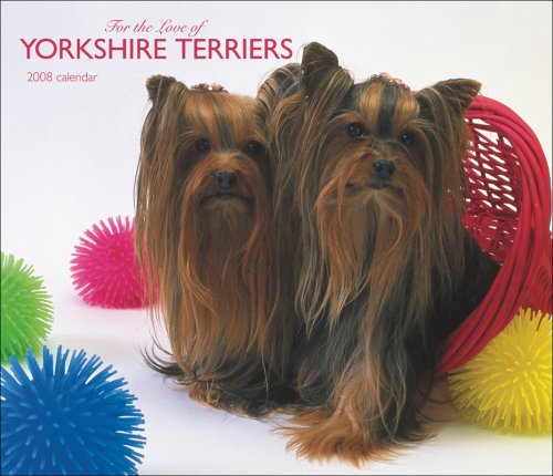 Yorkshire Terriers, For the Love of 2008 Deluxe Wall Calendar (9781421624860) by BrownTrout Publishers