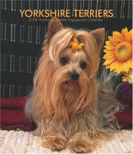 Yorkshire Terriers 2008 Spiral Hardcover Weekly Engagement Calendar (German, French, Spanish and English Edition) (9781421624907) by BrownTrout Publishers