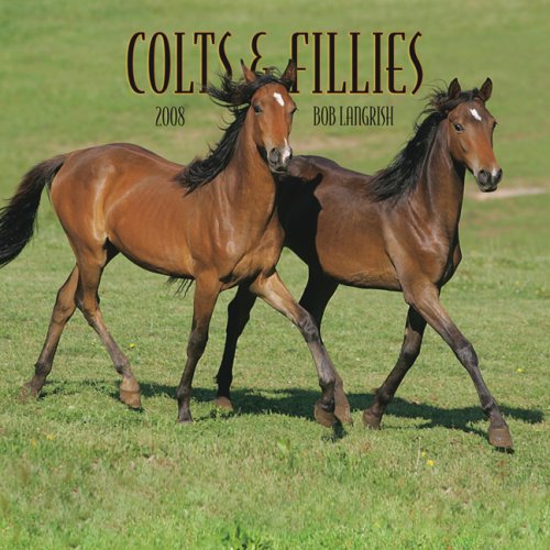 Colts & Fillies 2008 Mini Wall Calendar (German, French, Spanish and English Edition) (9781421624990) by BrownTrout Publishers