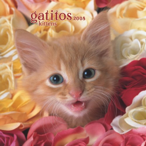 Gatitos/Kittens 2008 Square Wall Calendar (German, French, Spanish and English Edition) (9781421625713) by BrownTrout Publishers