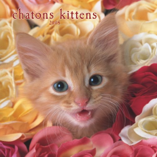 Chatons/Kittens 2008 Square Wall Calendar (German, French, Spanish and English Edition) (9781421626116) by BrownTrout Publishers