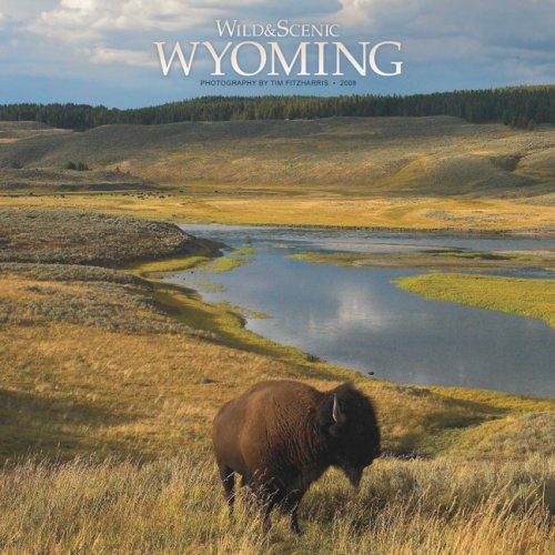 Wyoming, Wild & Scenic 2008 Square Wall Calendar (German, French, Spanish and English Edition) (9781421627571) by BrownTrout Publishers
