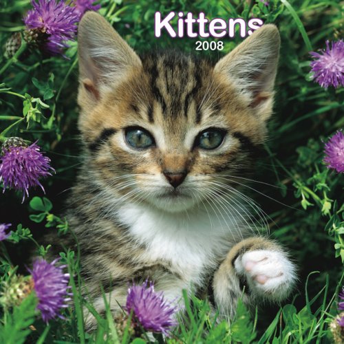 Kittens 2008 Midi Wall Calendar (German, French, Spanish and English Edition) (9781421630359) by BrownTrout Publishers