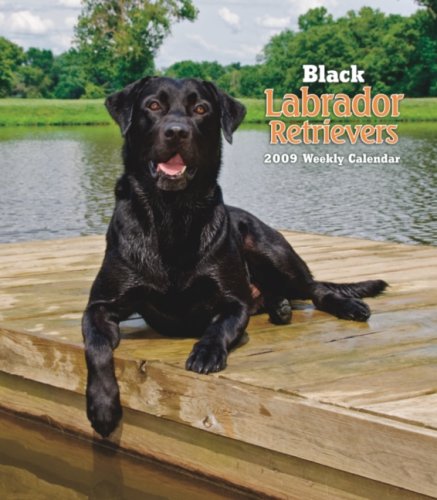 9781421637129: Labrador Retrievers, Black 2009 Hardcover Weekly Engagement Calendar