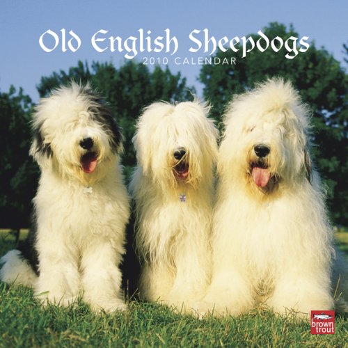 9781421651330: Old English Sheepdogs 2010 Calendar