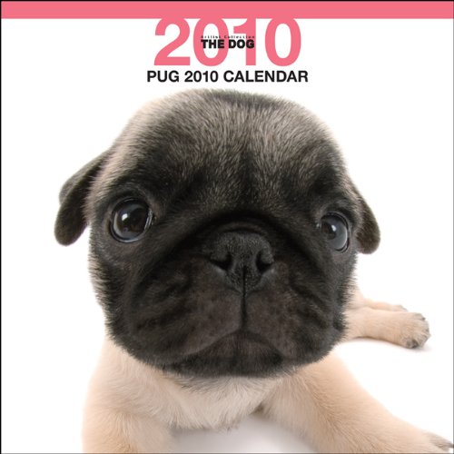 9781421659442: Pug 2010 Calendar