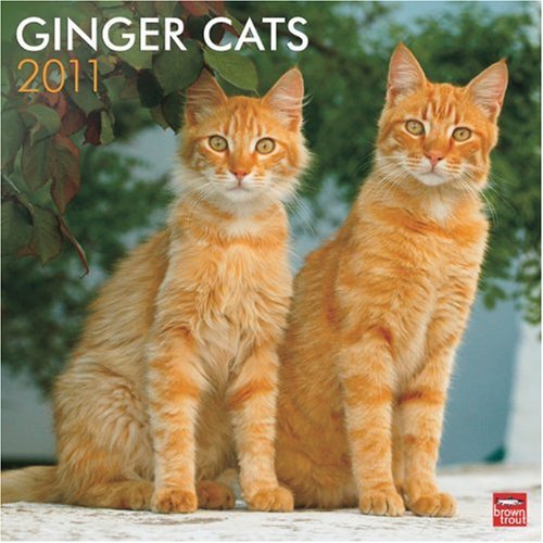 9781421662275: Ginger Cats 2011