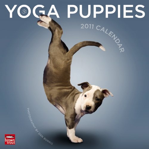 9781421662336: Yoga Puppies 2011