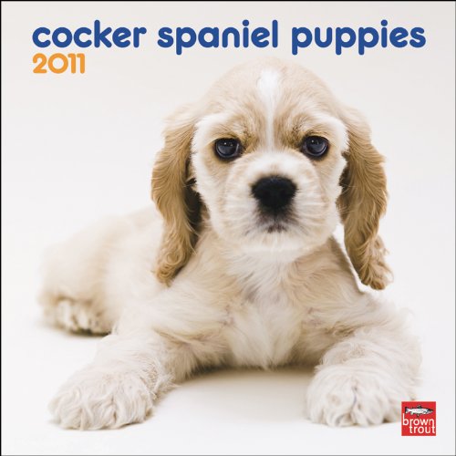 9781421662978: Cocker Spaniel Puppies 2011 Calendar