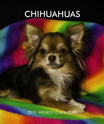 9781421667850: Chihuahuas 2011 Calendar