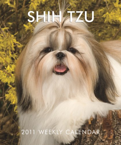 9781421668215: Shih Tzu 2011 Desk Diary