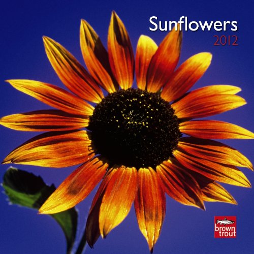 9781421674254: Sunflowers 2012 Calendar