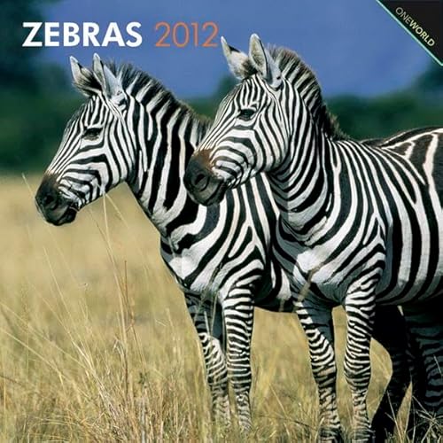 9781421675749: Zebras 2012 Calendar