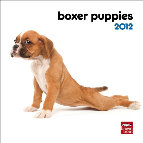 9781421677057: Boxer Puppies 2012 Mini Calendar