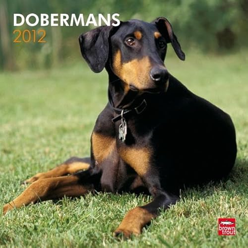 9781421677521: Dobermans (Intnl) 2012 Wall