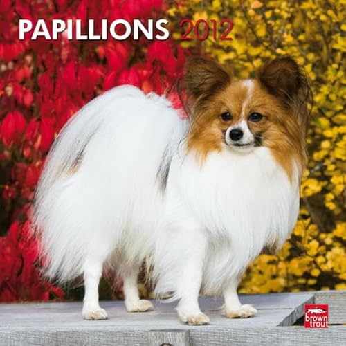 9781421678313: Papillons 2012 Calendar