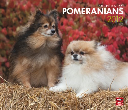 9781421678337: For the Love of Pomeranians 2012 Calendar
