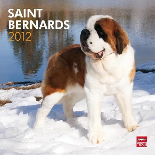 9781421686486: Saint Bernards 2012 Calendar