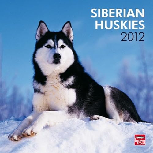 9781421686592: Siberian Huskies 2012 Wall Calendar