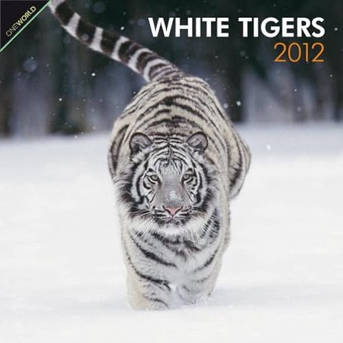 9781421686899: White Tigers 2012 Wall Calendar