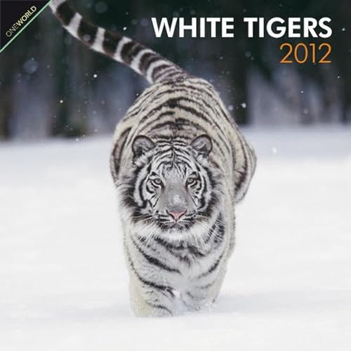 9781421686899: White Tigers 2012 Wall Calendar