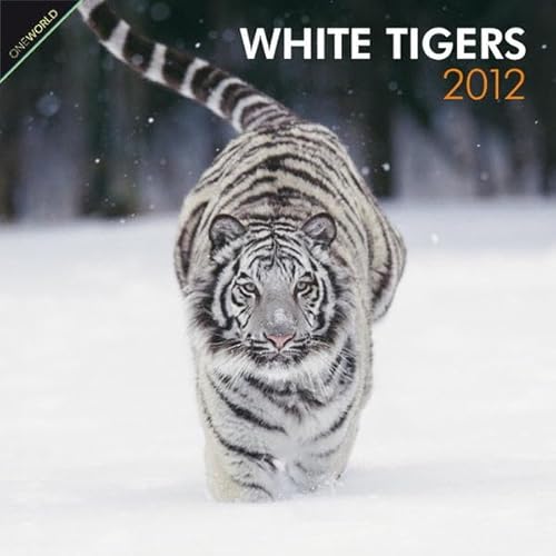 9781421686899: White Tigers 2012 Calendar