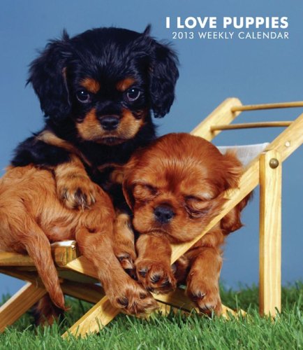 Puppies, I Love 2013 Hardcover Weekly Engagement (9781421694672) by [???]