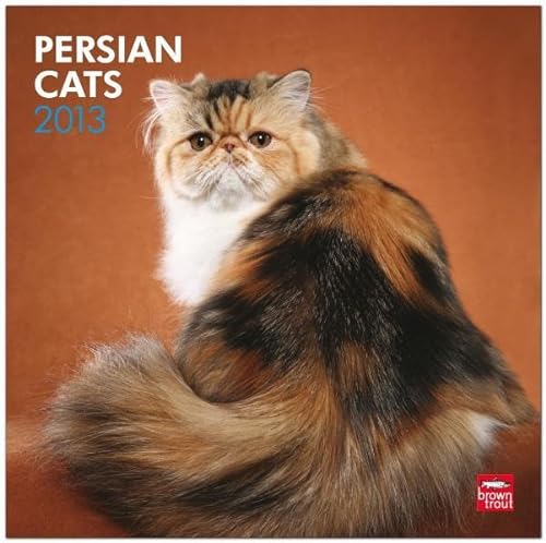 Persian Cats 2013 Square 12X12 Wall Calendar (9781421697383) by NOT A BOOK