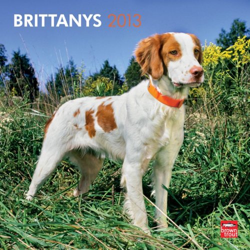 Brittanys 2013 Calendar (9781421697765) by [???]