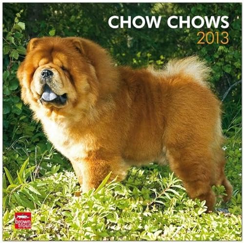 Chow Chows 2013 Square 12X12 Wall Calendar (9781421697895) by [???]
